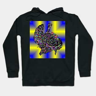 Plasma Flaring Hoodie